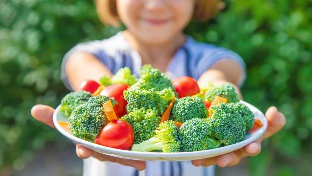 Dieta Vegana vs Dieta Paleo beneficios de la dieta vegana